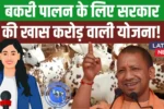 Bakri Palan Farm Yojana 2025