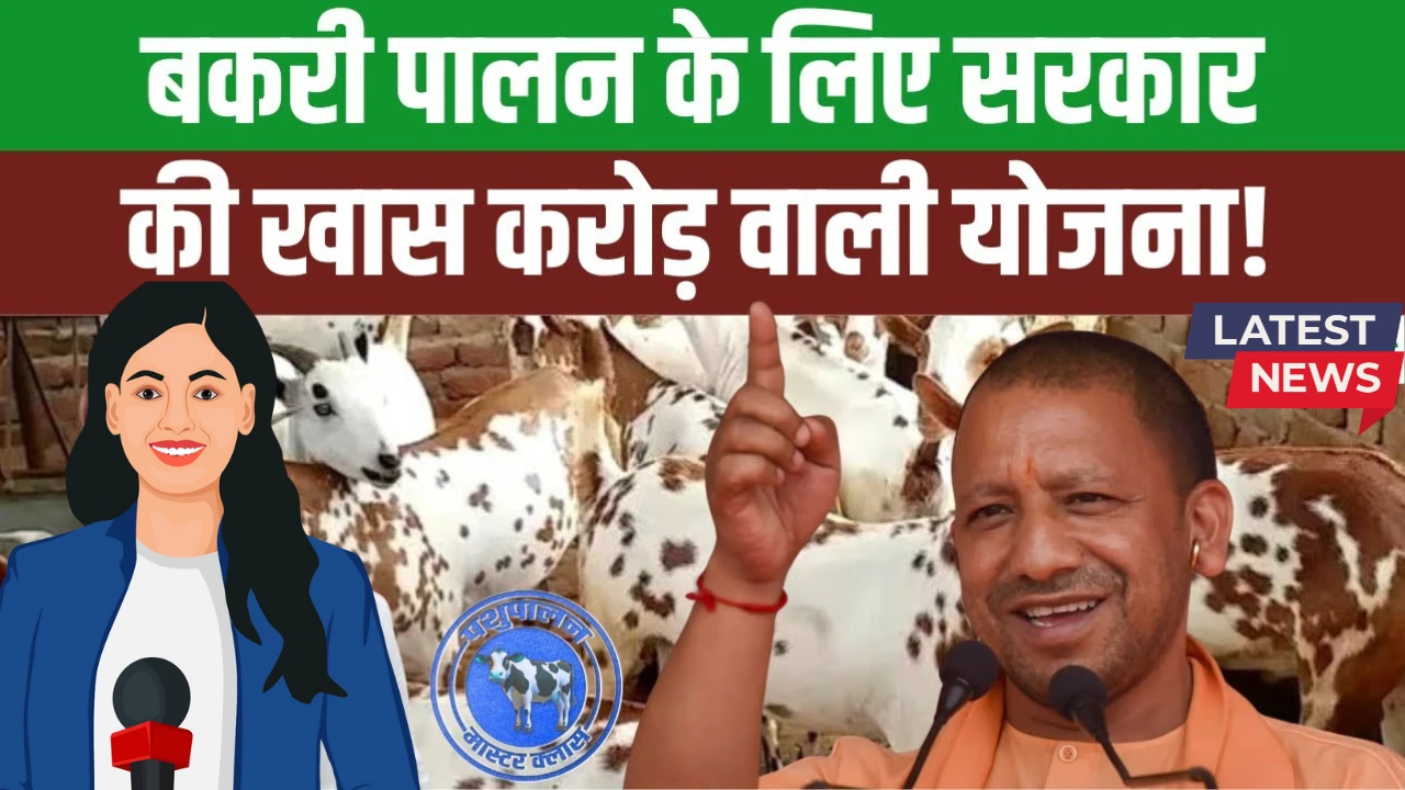 Bakri Palan Farm Yojana 2025